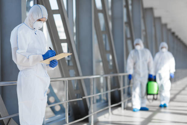 Best Industrial Mold Remediation  in Byram, CT