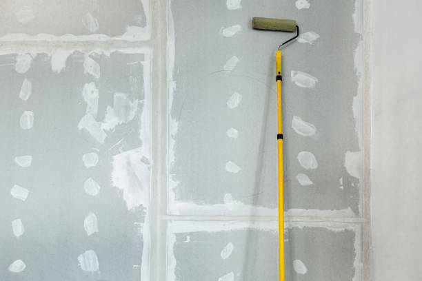Best Mold Documentation for Insurance Claims  in Byram, CT