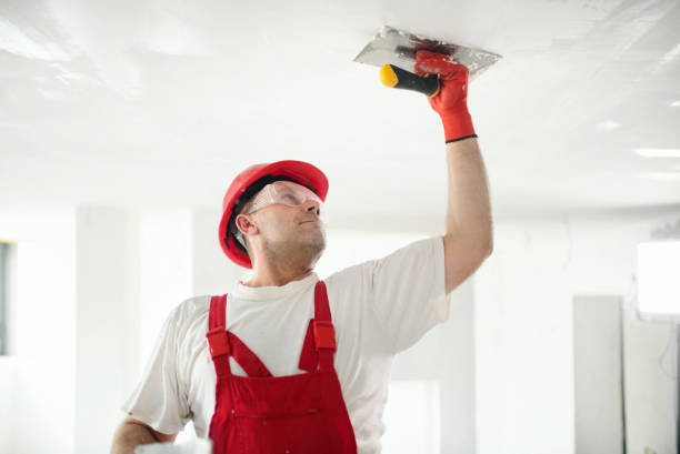 Byram, CT Mold Removal Company